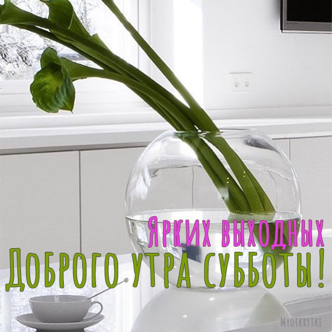 доброе субботнее утро картинки красивые с надписью