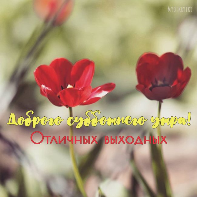 доброе утро суббота картинки красивые