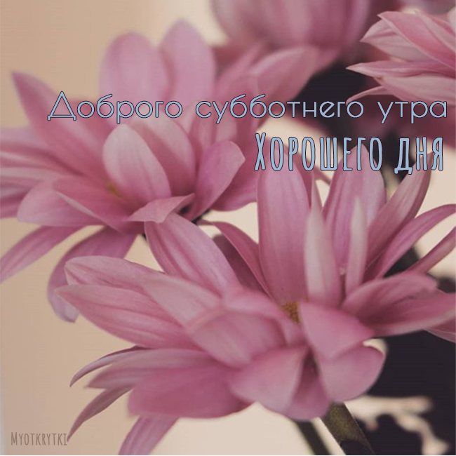 доброго субботнего утра и хорошего дня картинки