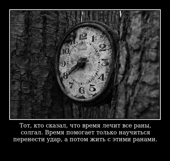 'На фото изображена цитата