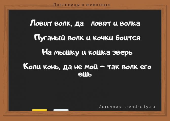 Пословицы о животных 1