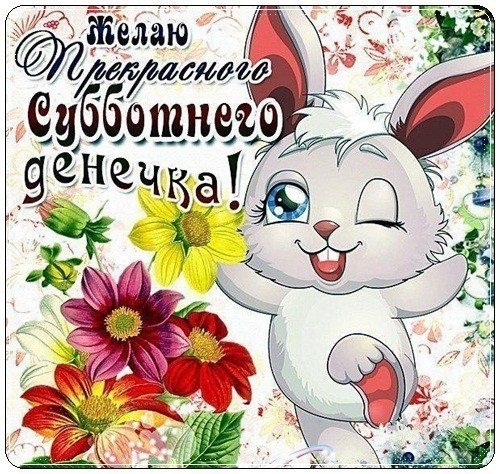Пожелания хорошего дня субботы