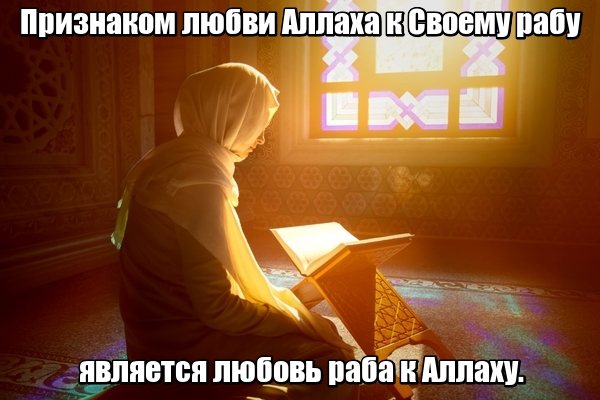 Признаком любви Аллаха к Своему рабу является любовь раба к Аллаху.