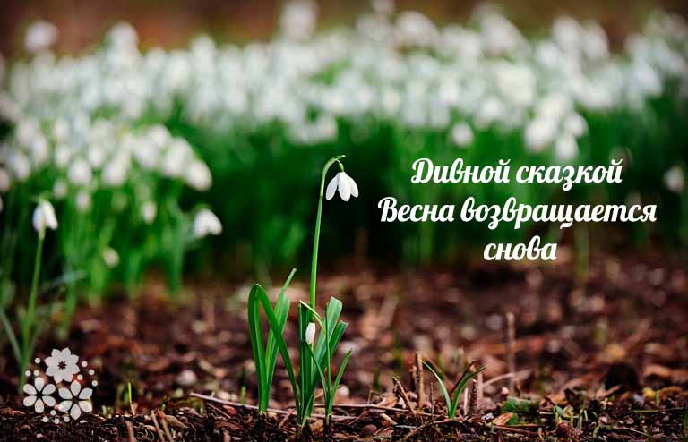Стихи про весну