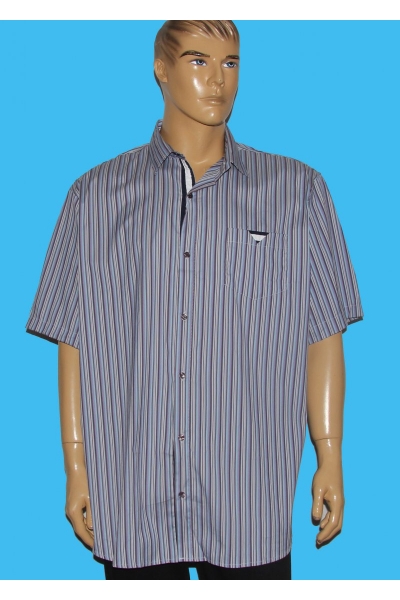 Рубашка Guanto 9619