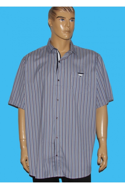 Рубашка Guanto 9619