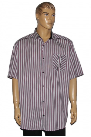 Рубашка Guanto 9621